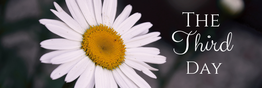 The Third Day Blog Link-Up: You Need Only To Be Still